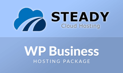 Steady Cloud WP Business