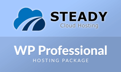 Steady Cloud WP Professional